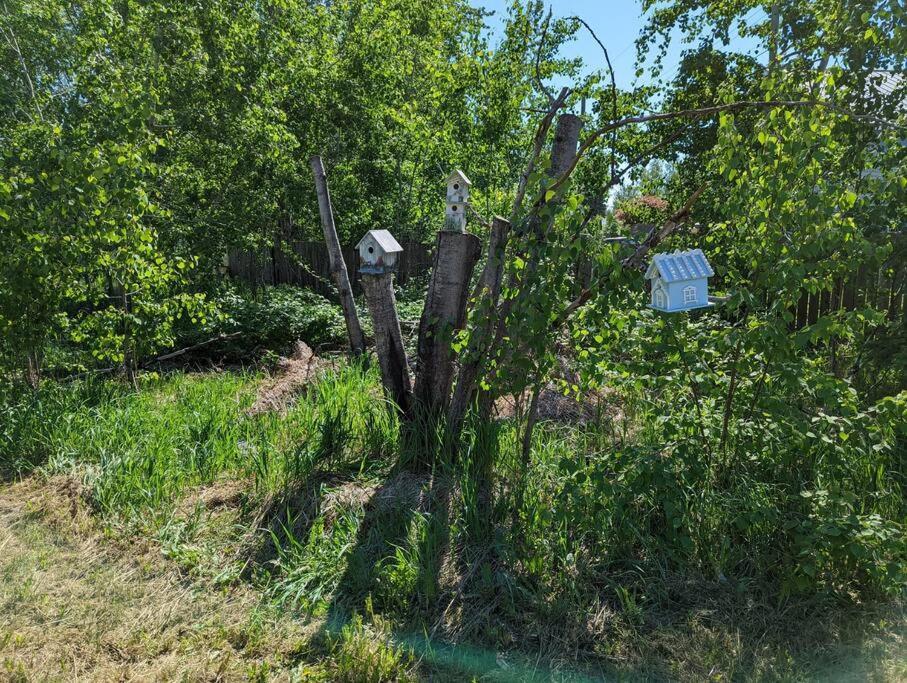 Nunaka Valley Cottage Anchorage Exterior foto